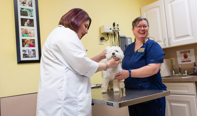 do hospitals take stuffed animal donations