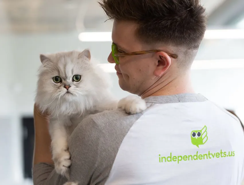 a man holding a fluffy white cat