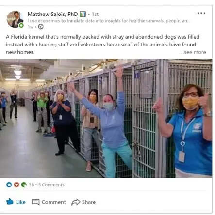 vet kennel staff cheering