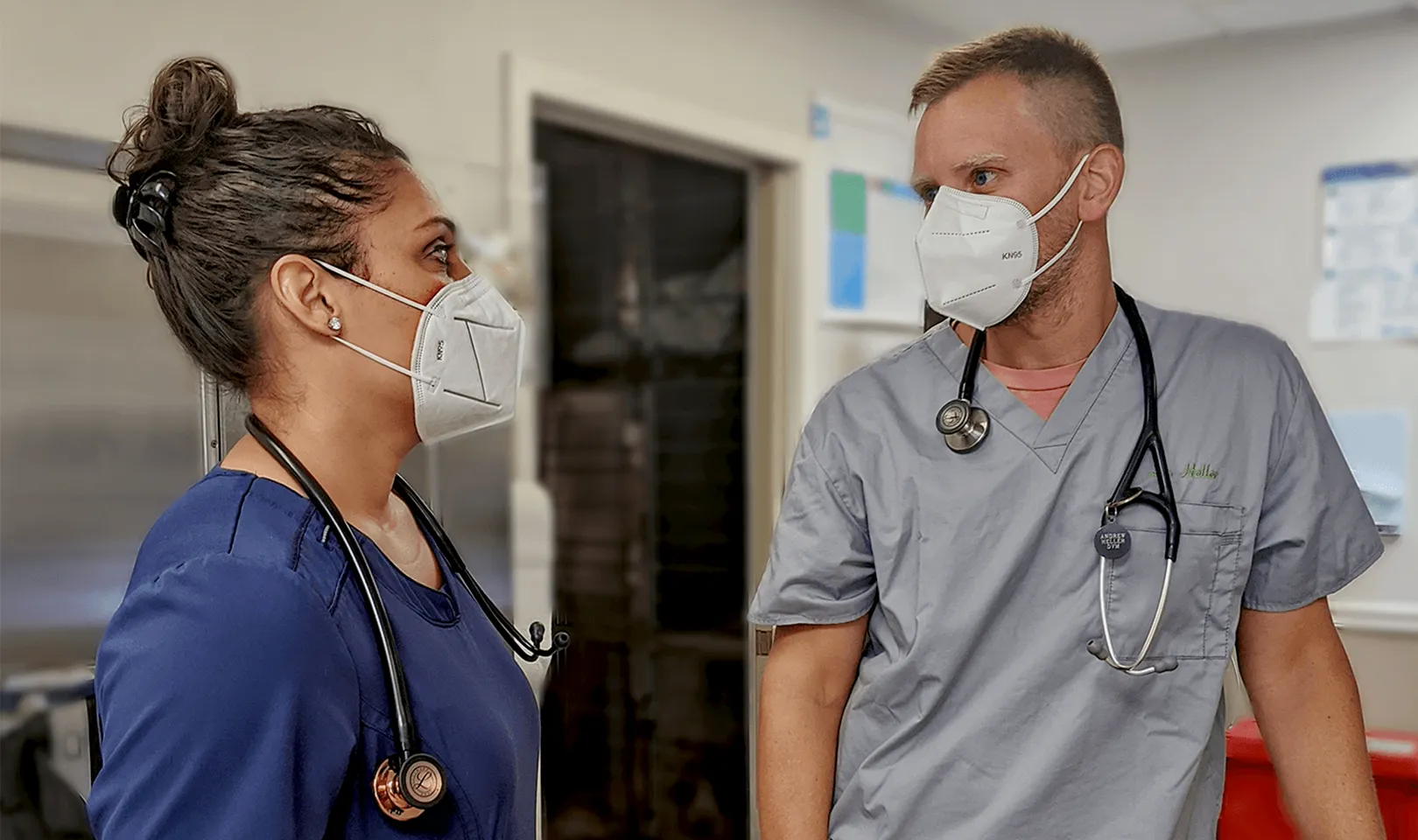 Photo of two veterinarians wearing masks in the clinic.