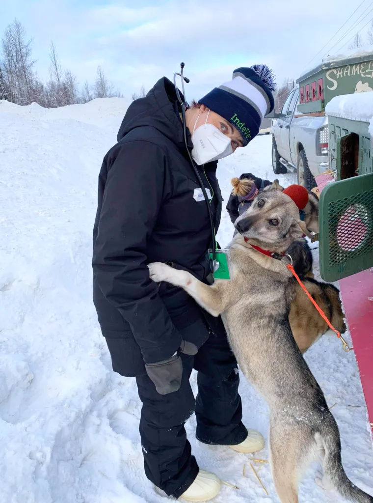 Vet and sled dog at Willow 300 race in Alaska