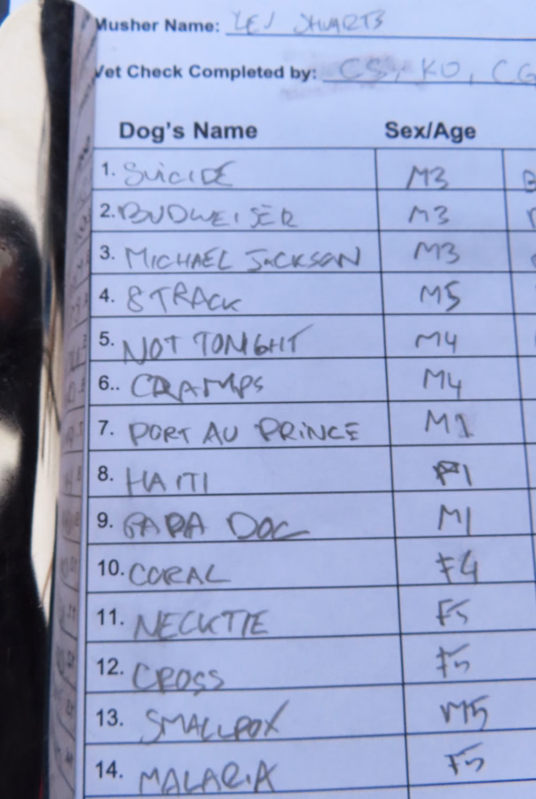 Willow 300 race line up