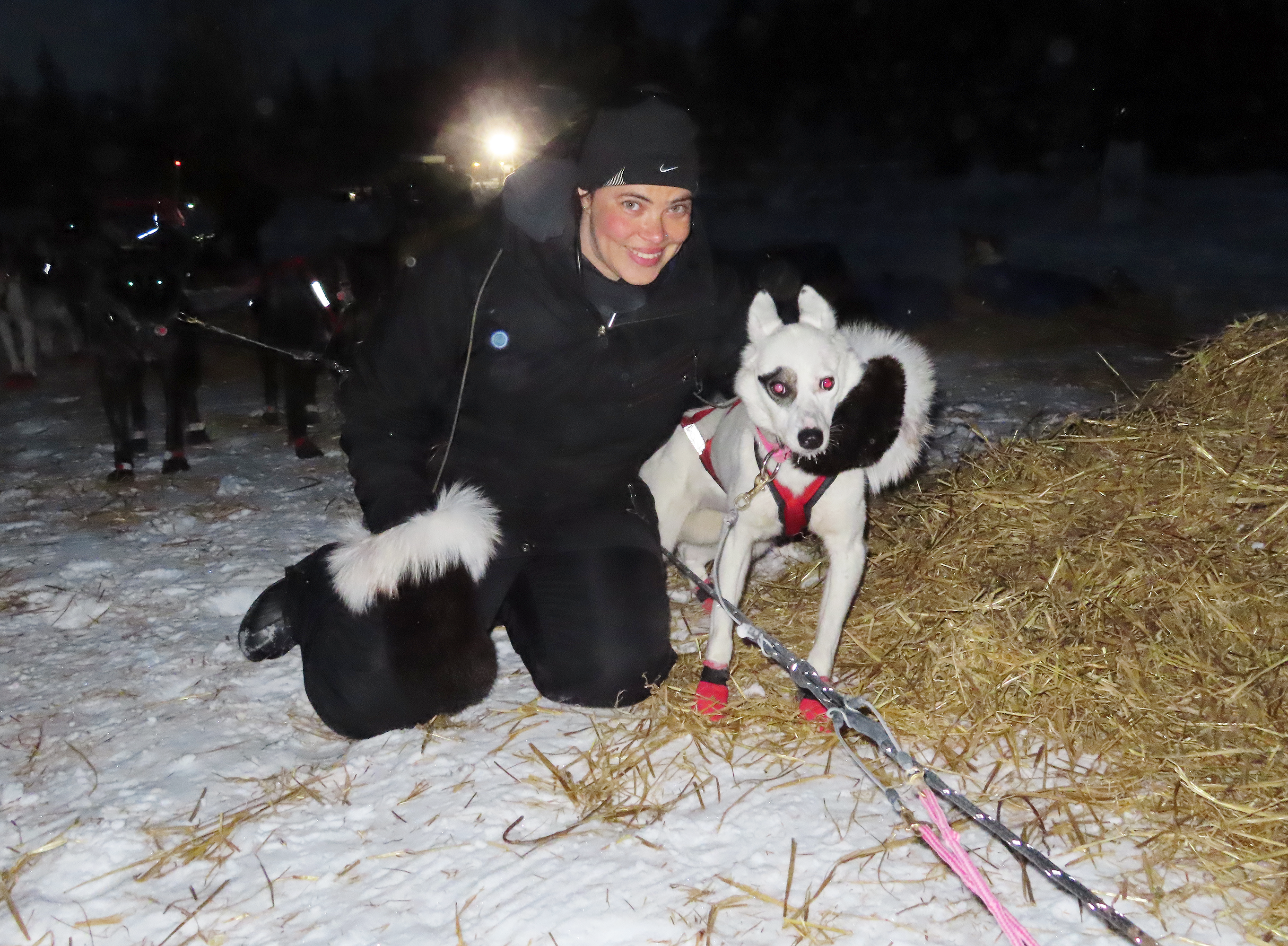Vet and sled dog at Willow 300 race in Alaska