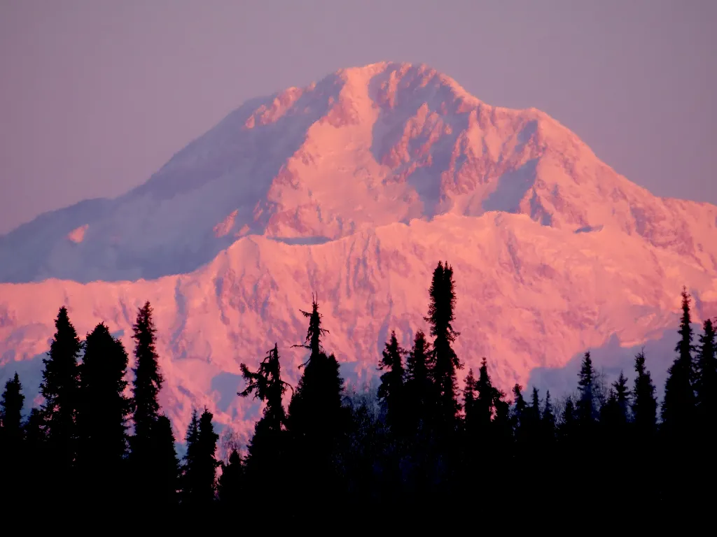 Sunrise in Denali, AK