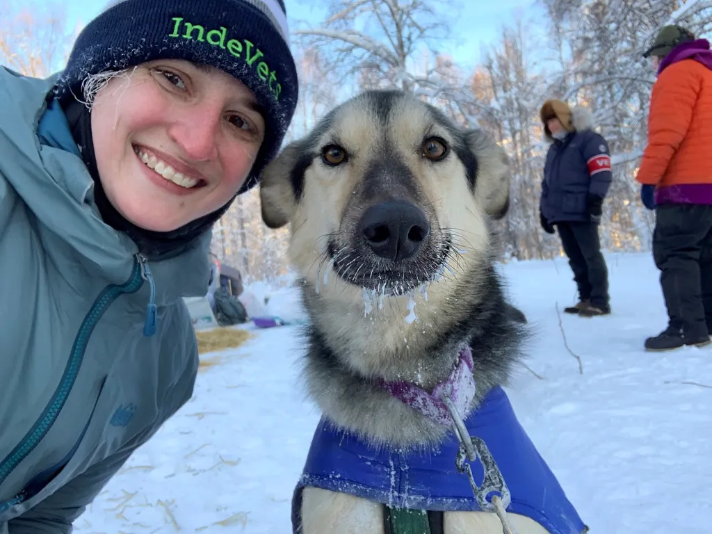 Vet and sled dog at Willow 300 race in Alaska