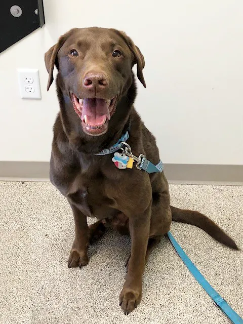 Sawyer, at our last appointment