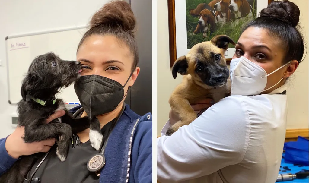 Dr. Brunetti poses with Tucker (left) and Xena (right)