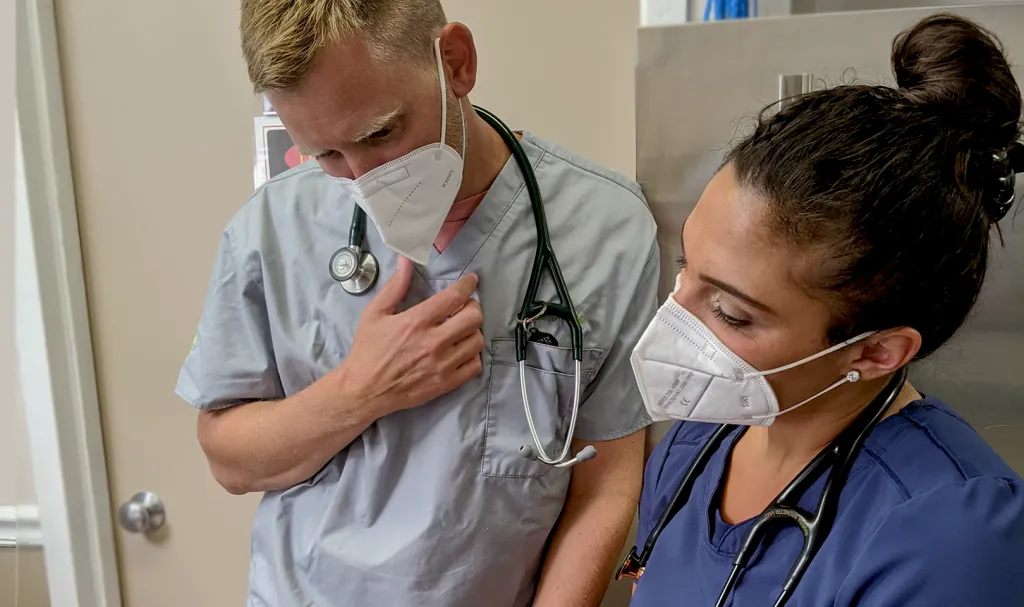 Veterinarians discuss a case