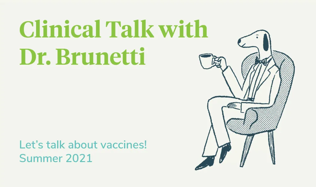 Let's talk about vaccines in vet med