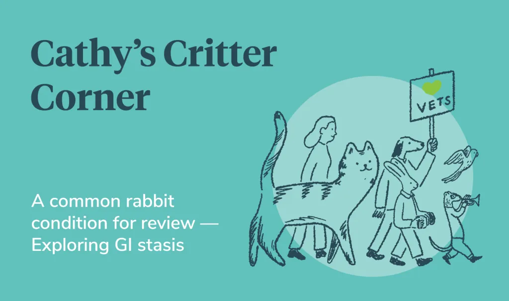 Cathy's Critter Corner