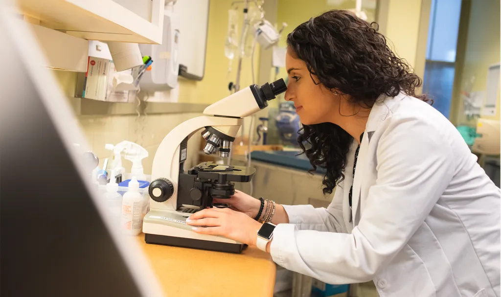 A veterinarian uses a microscope