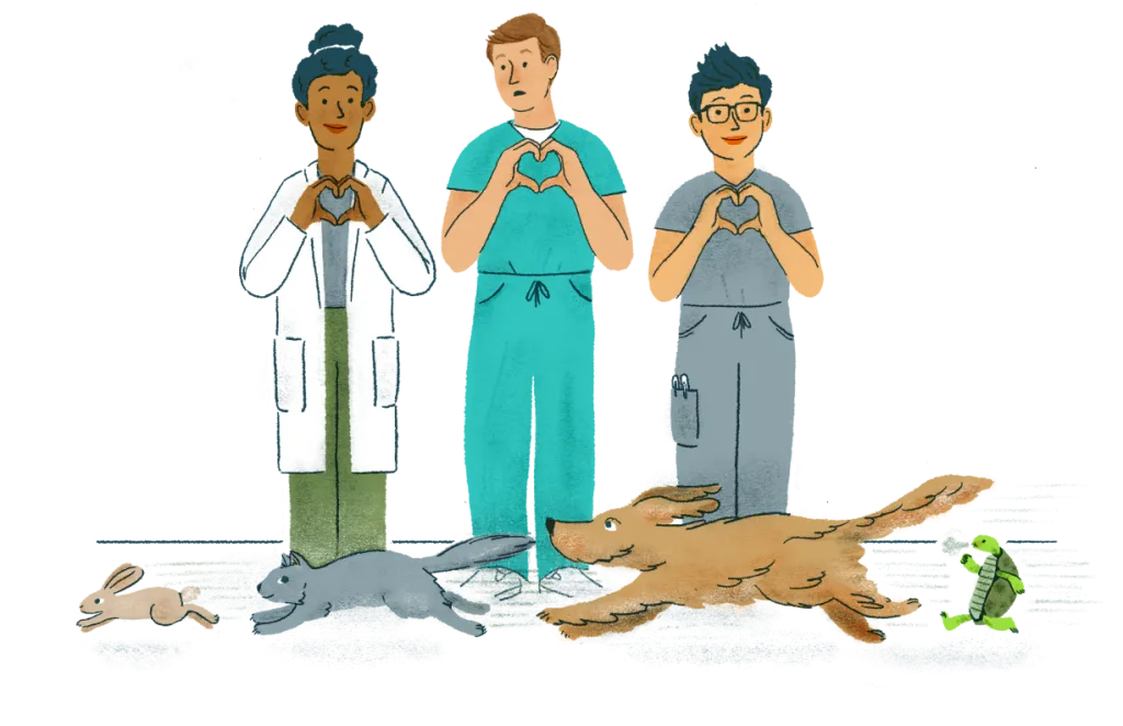 Illustration of 3 vets holding up heart hands