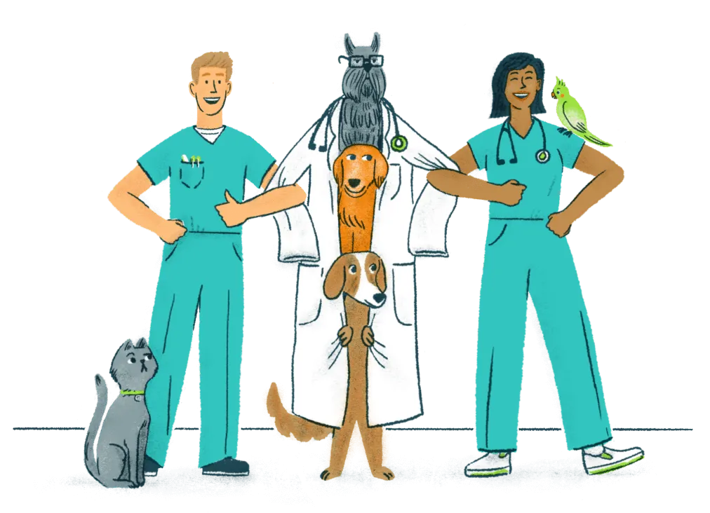 Illustration of two veterinarians linking arms with three dogs in a trench coat while a cat looks on, puzzled