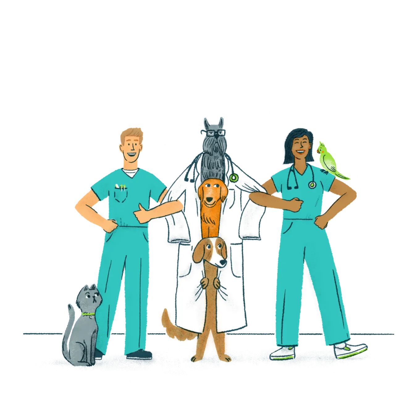 Veterinary Relief Work