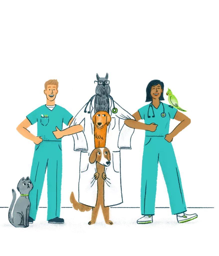 Illustration of 3 dogs in a lab coat linking arms with two IndeVets