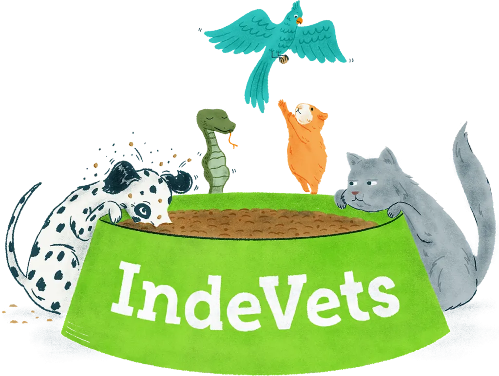 Illustration of a group of animals eating from an IndeVets bowl.