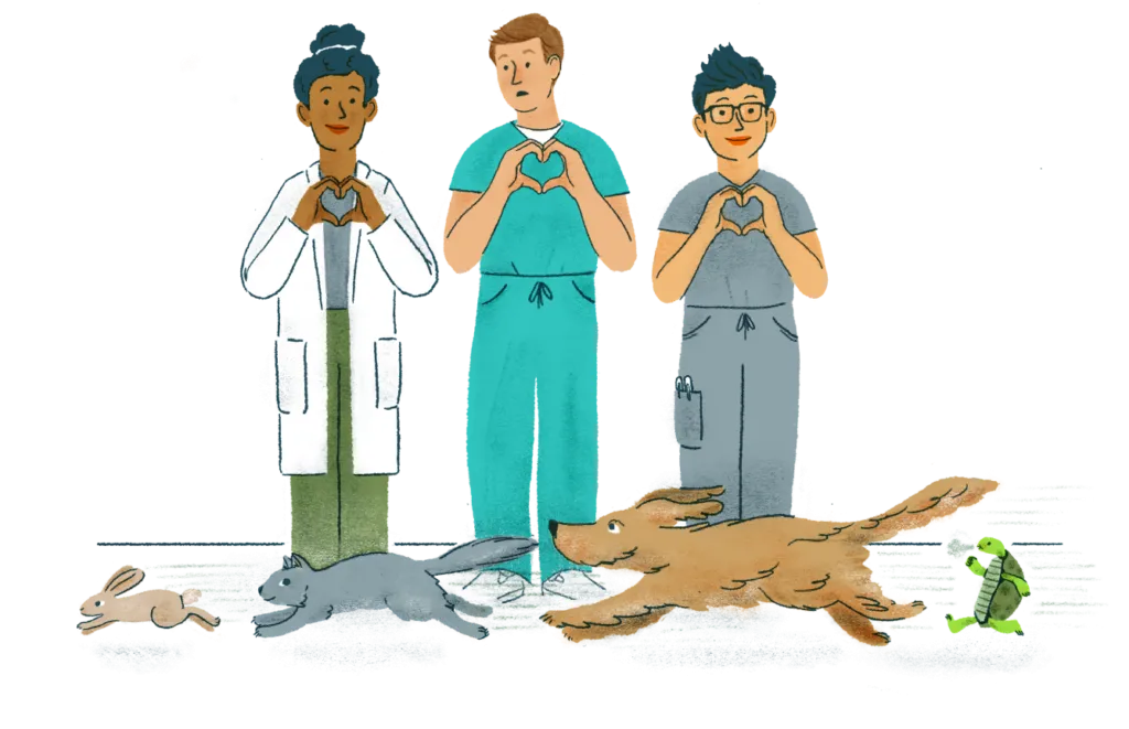 Illustration of three veterinarians holding their hands in heart shapes while a rabbit, cat, dog, and turtle run in a line at their feet and a green bird flies in the background carrying a stethoscope.