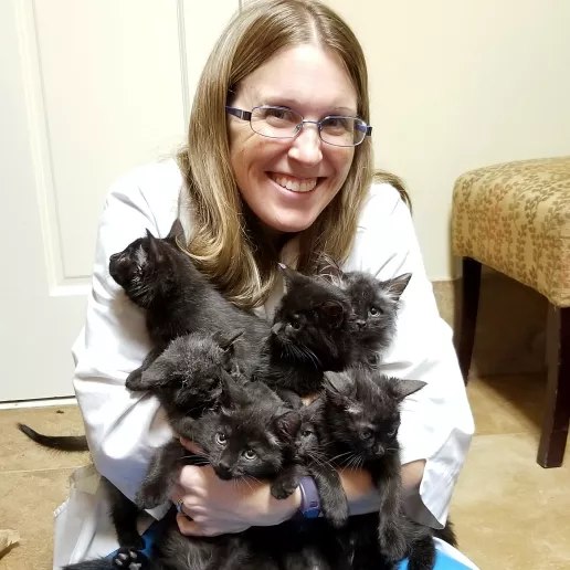 Photo of a vet holding a litter of kittens