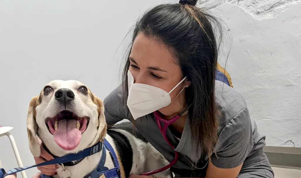 Photo of smiling dog next to a happy veterinarian
