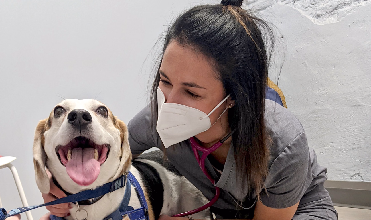 Photo of smiling dog next to a happy veterinarian