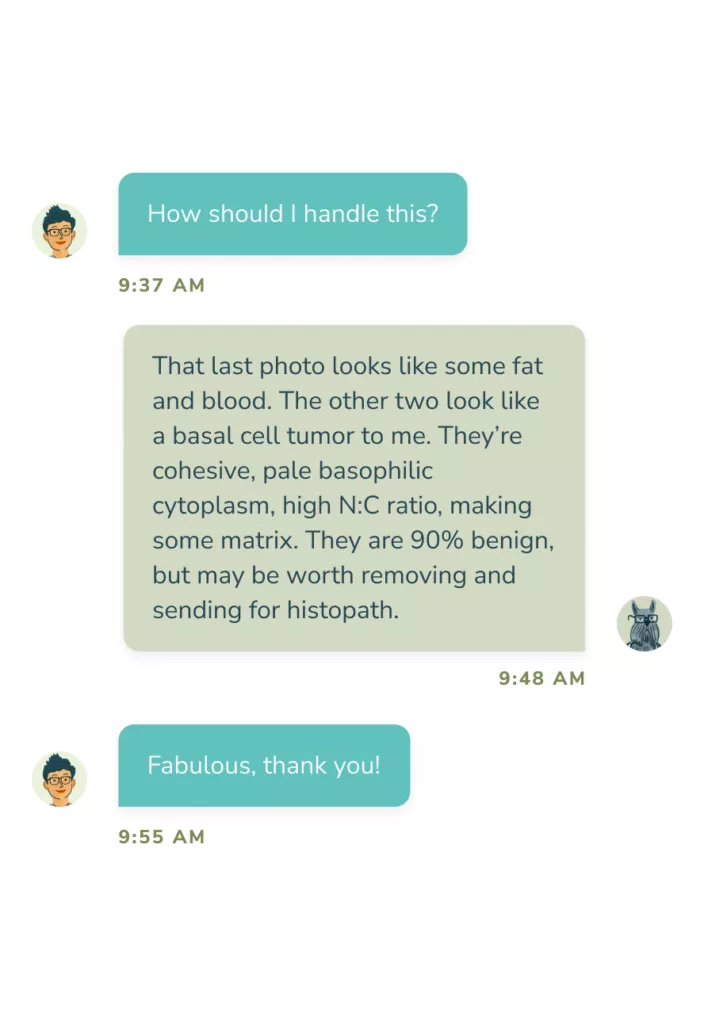 Screenshot of messaging showing a subject matter expert giving an opinion