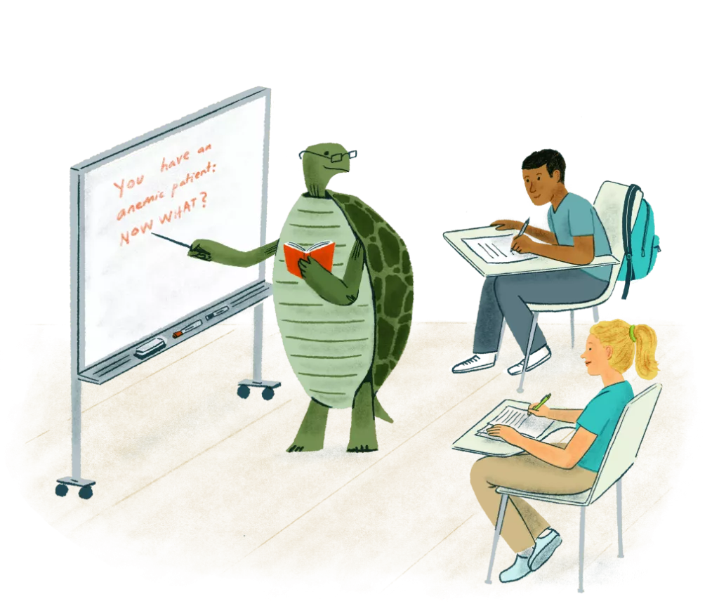 illustration of a turtle using a whiteboard to teach two veterinarians sitting at desks