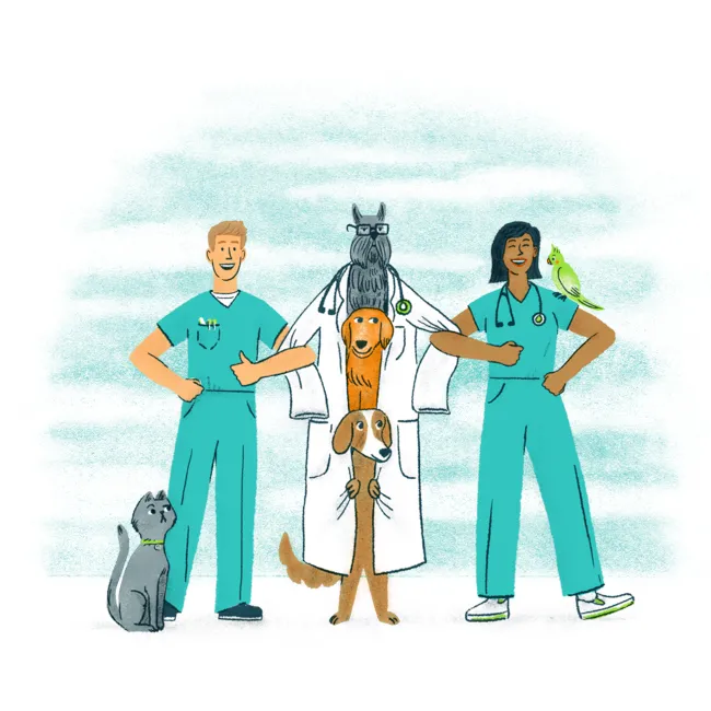 Illustration of three dogs stacked in a lab coat linking arms with two vets as a grey cat looks at them confusedly