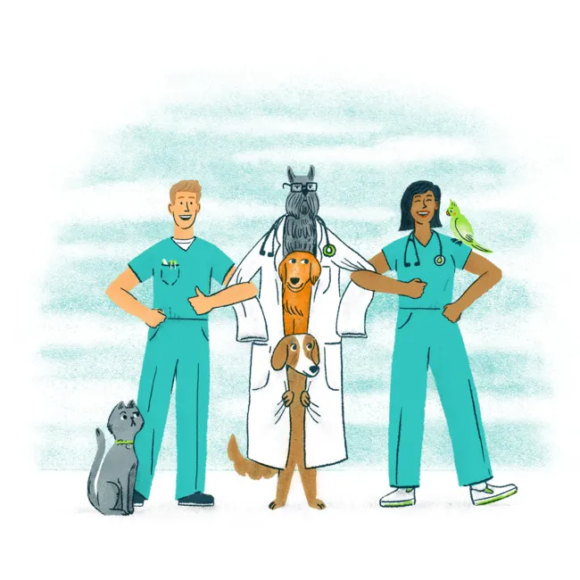 Relief Veterinary Services