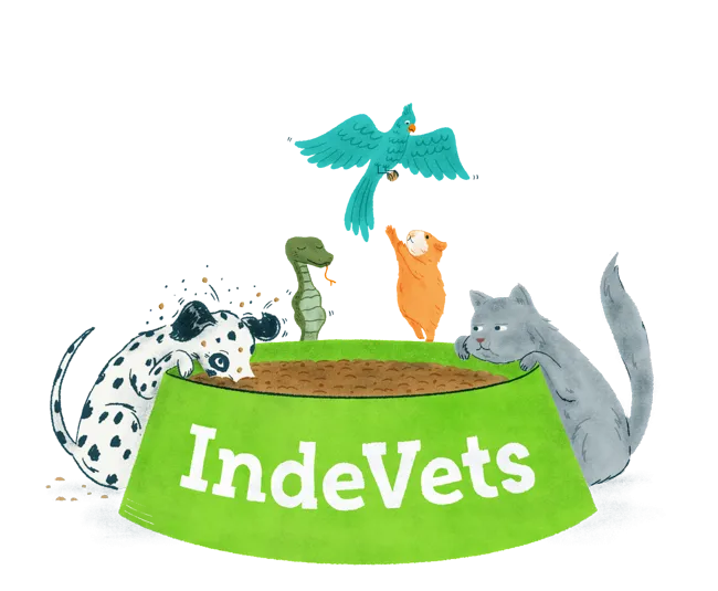 Illustration of a group of animals eating from an IndeVets bowl.