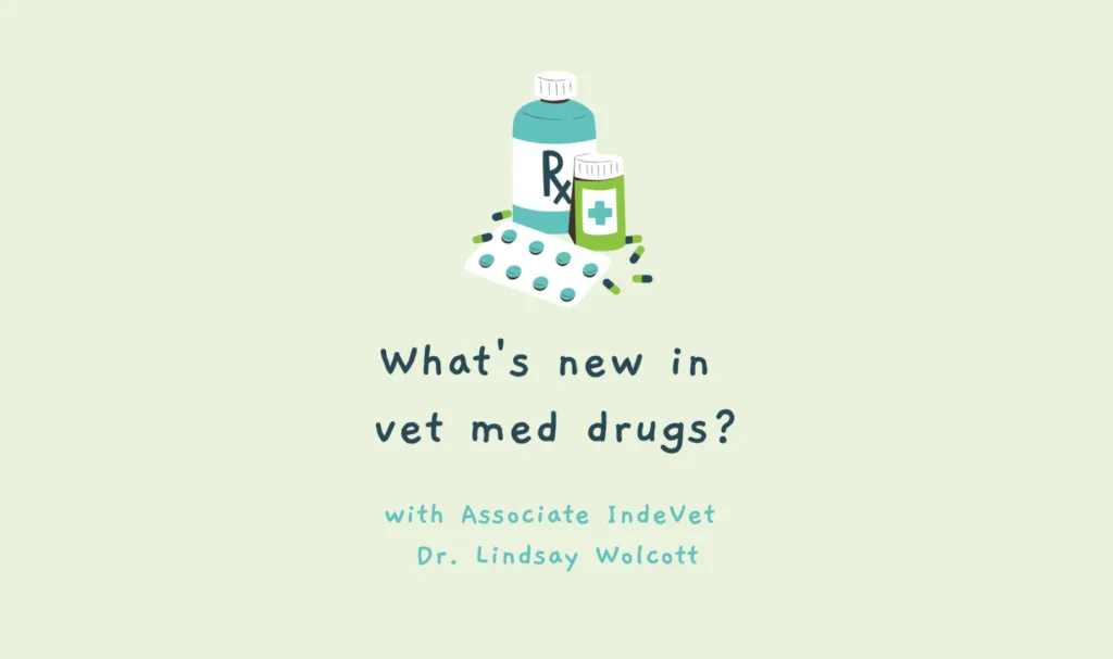 Updates in vet med drugs