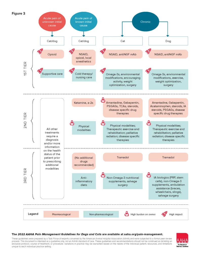 Pain Management Flow Chart