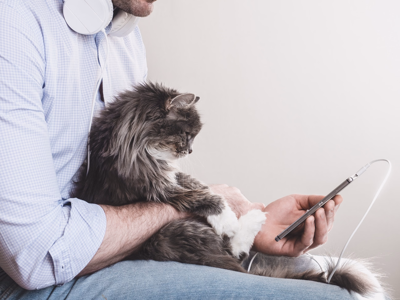 veterinary podcasts