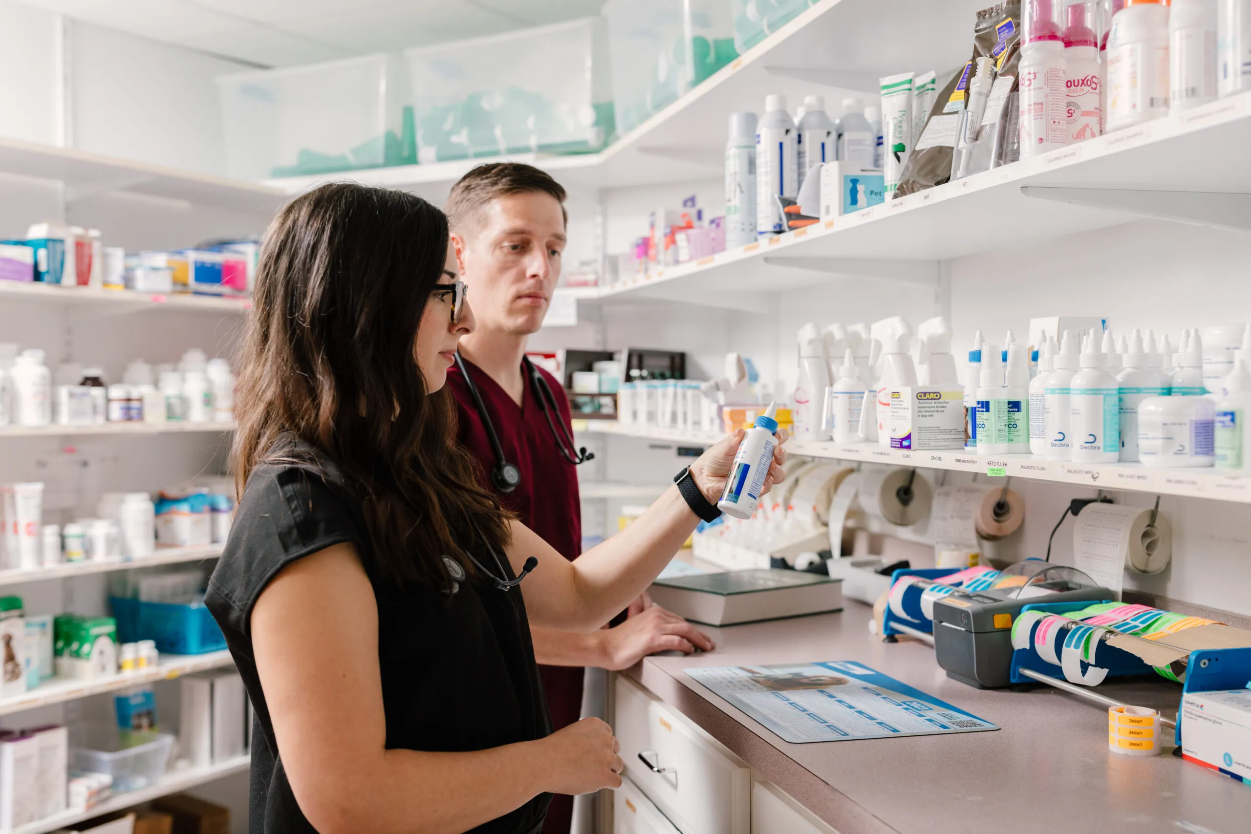 Veterinarians looking at medicine