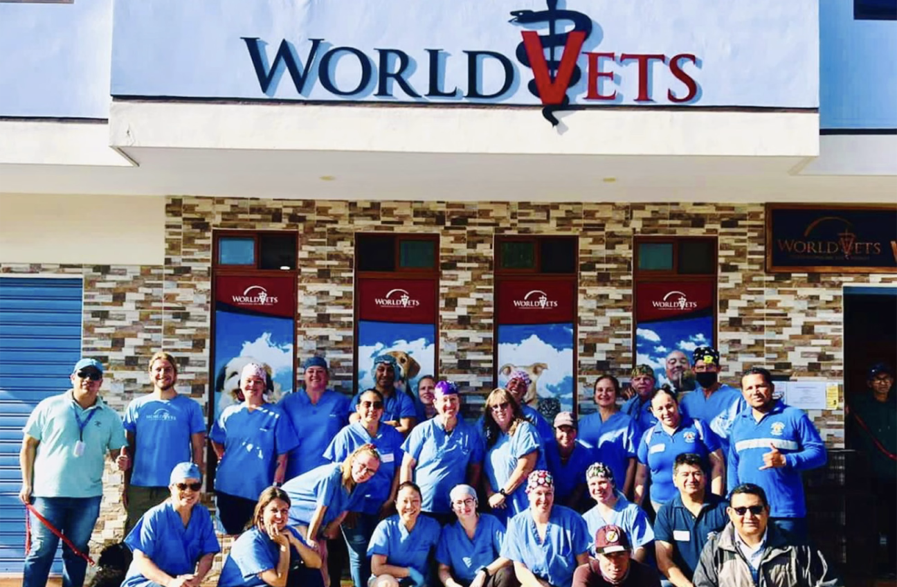 Veterinarinans volunteering for World Vets in the Galapagos Islands