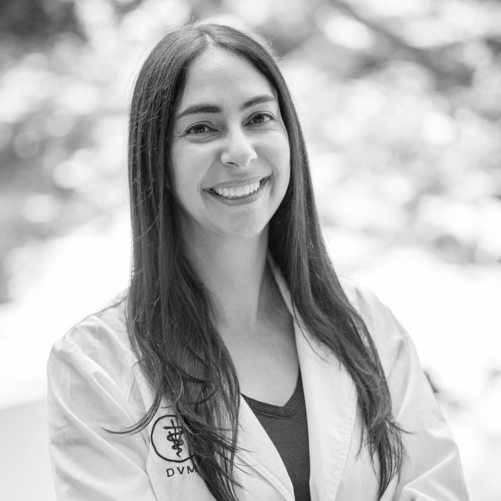 Dr. Danielle Lafave