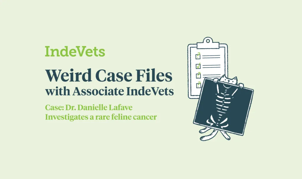 Weird Case Files with Dr. Danielle Lafave