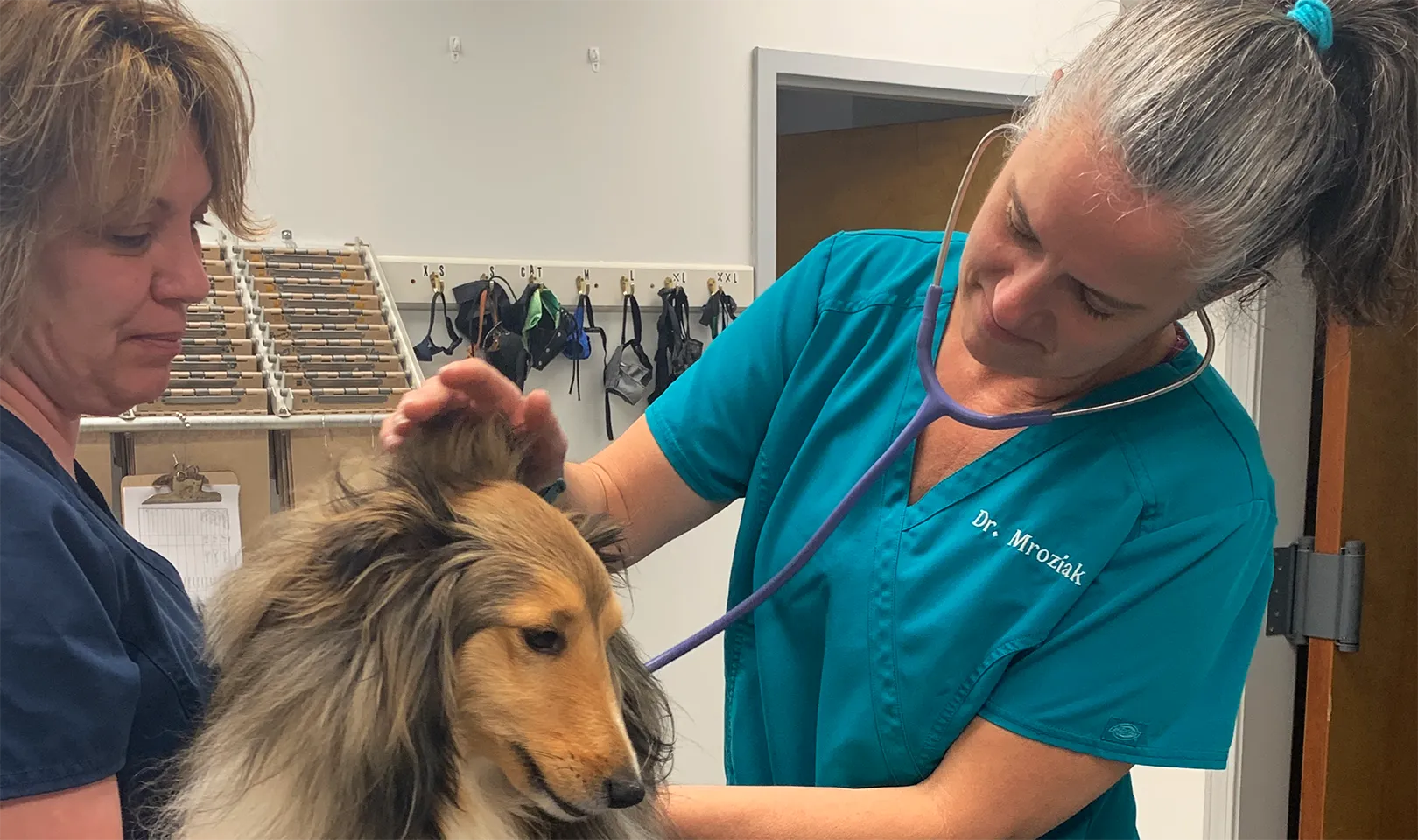 IndeVet Dr. Melissa Mroziak with dog