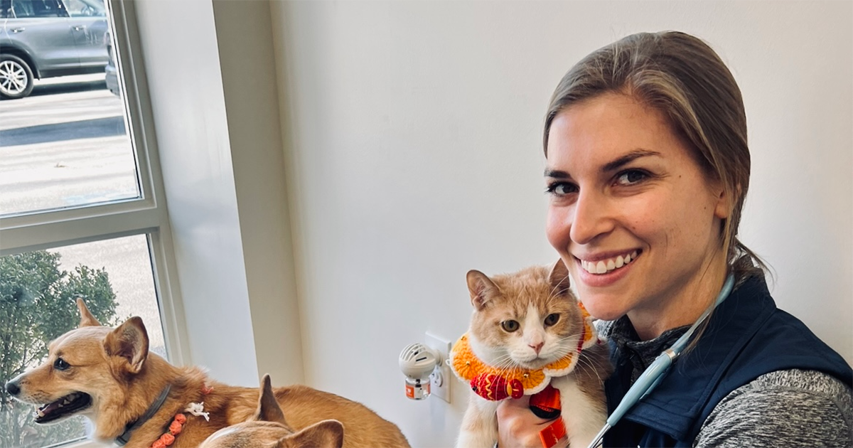 Canine Proteinuria 101 A Guide for General Practitioners IndeVets