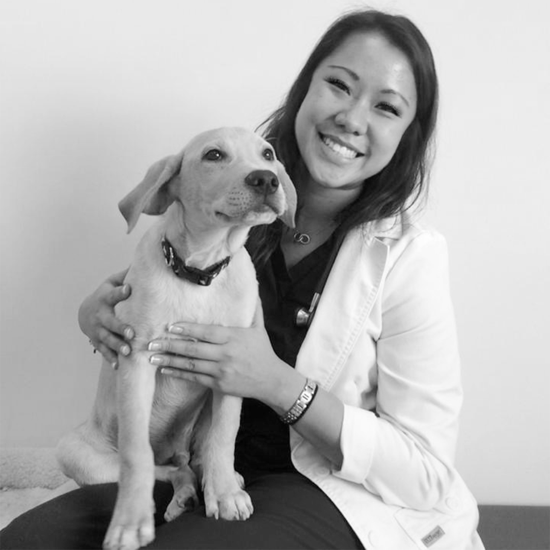 Headshot of Holly Lui, DVM