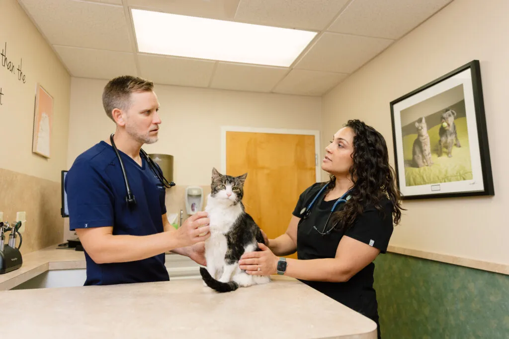 Dr. Andrew Heller and Dr. Marisa Brunetti with cat