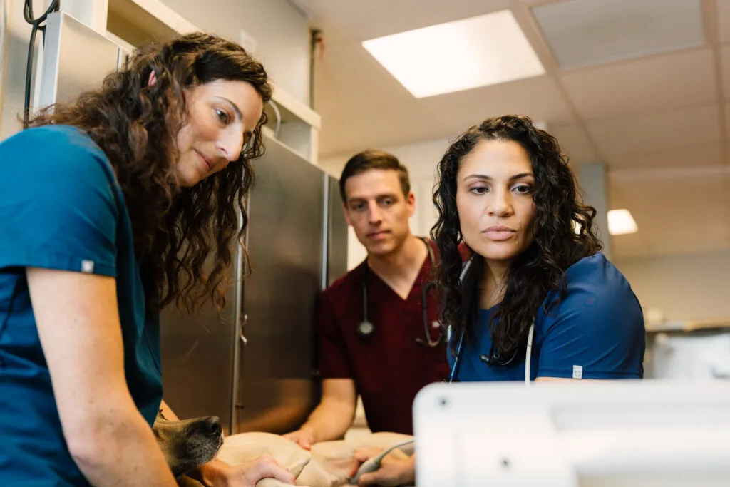 Dr. Marisa Brunetti doing an ultrasound