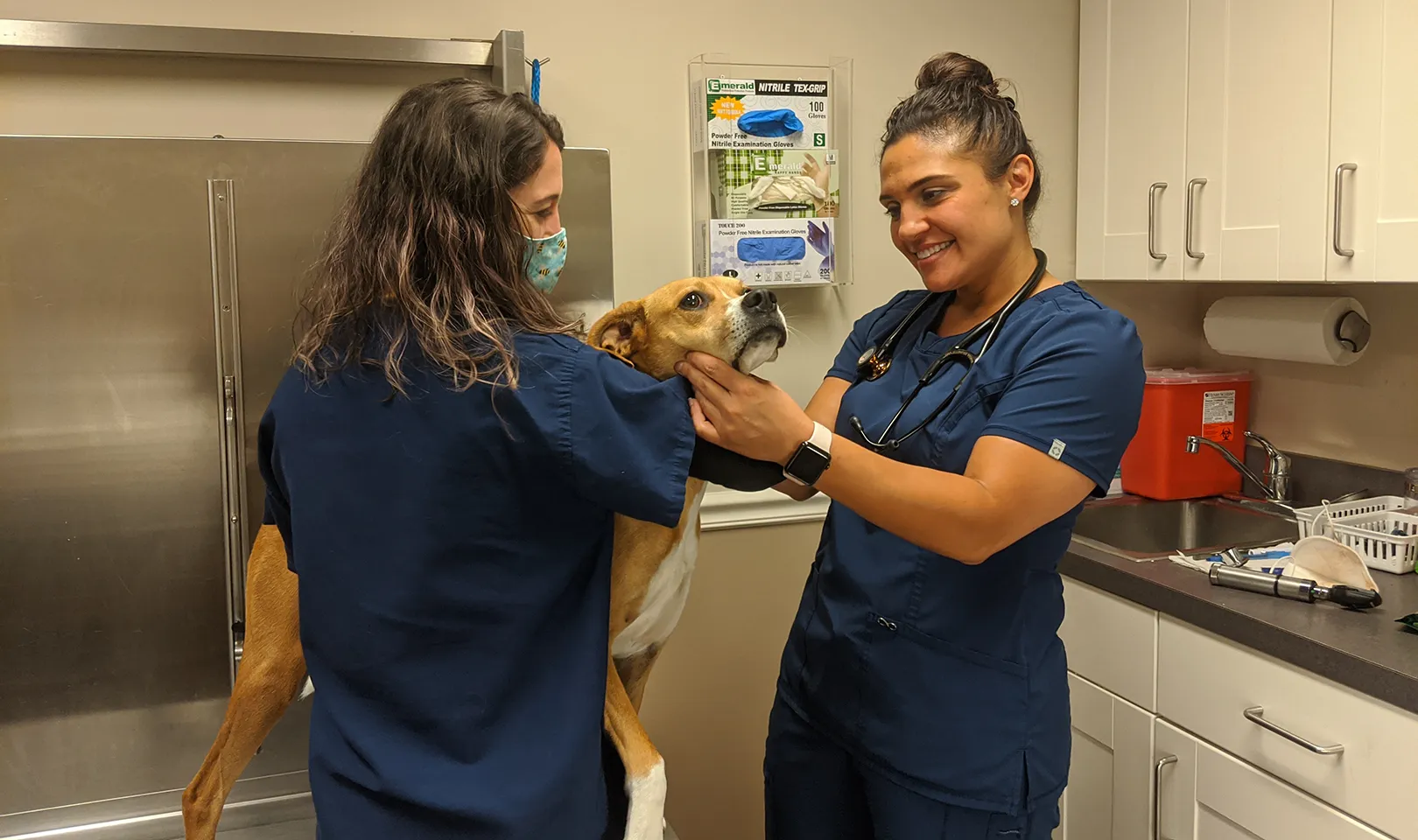 Dr. Marisa Brunetti in clinic