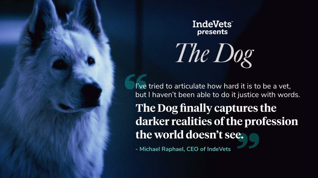 IndeVets present: The Dog; 