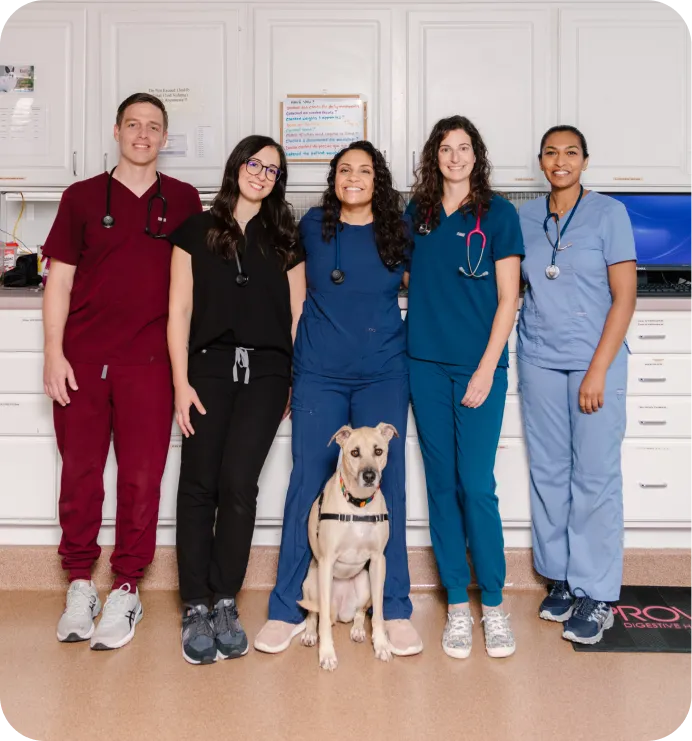 Photo of IndeVet Marisa Brunetti with the rest of the clinic staff