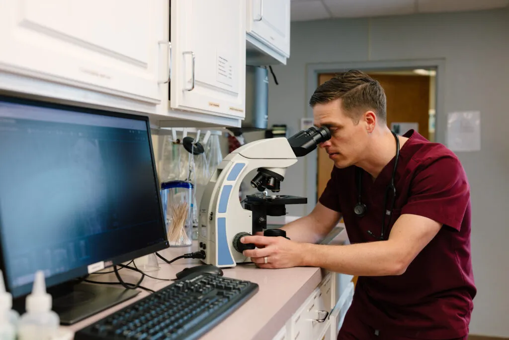 Dr. Jordan looking through microscope