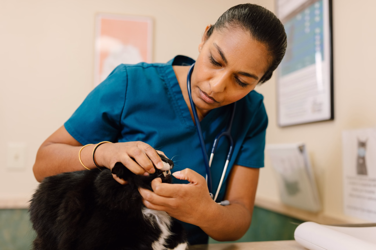 Veterinary resolutions