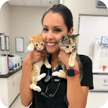 Photo of a veterinarian holding two kittens