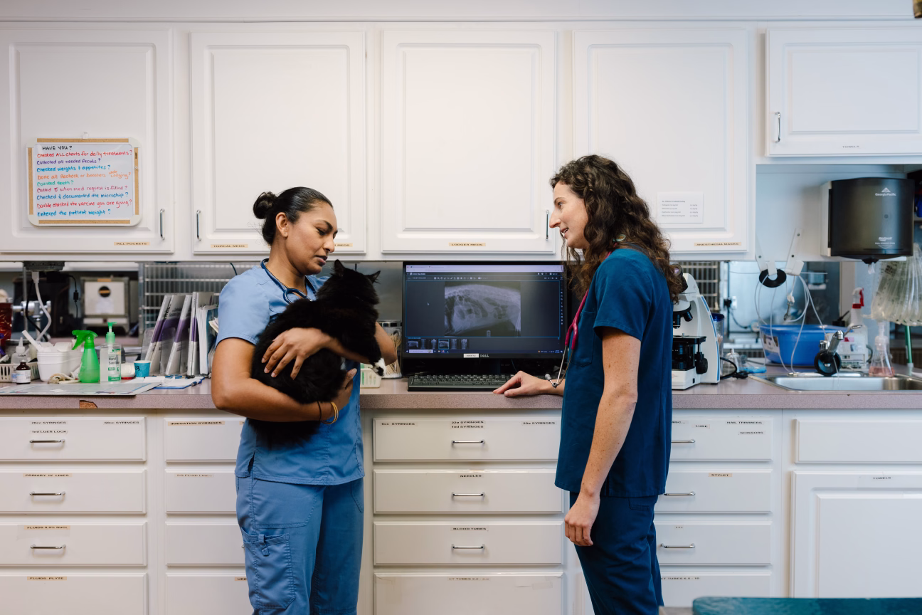 Photo of two veterinarians talking while one holds a cat and the other pulls up an x-ray on a computer screen