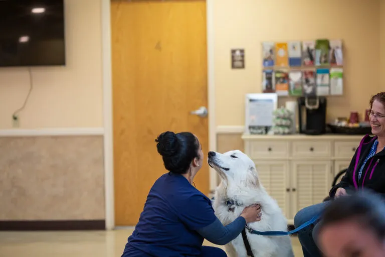 Moore Veterinary Hospital