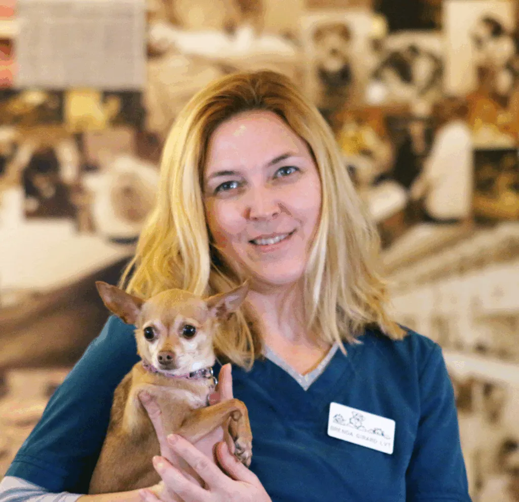 Photo of a veterinarian holding a small dog